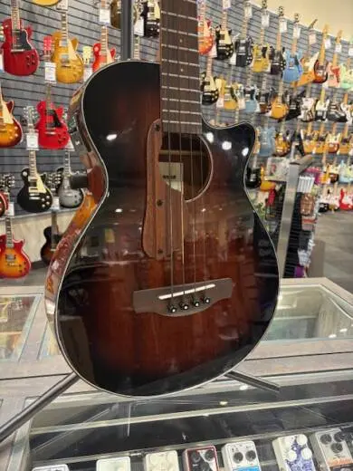 Store Special Product - Ibanez - AEGB24EMHS